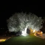 The Wave, Sampieri, 2 minutes from the sea, villa with pool. - 3つ星