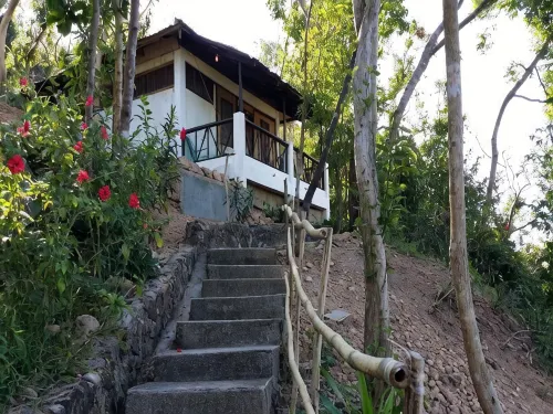 Discovery Island Resort