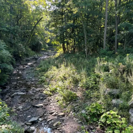 Seneca Lake -"Butternut Camp"  near Wineries & Watkins Glen Race track