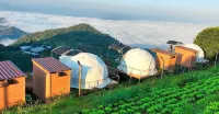 Himdoi Camping - 2 Sao