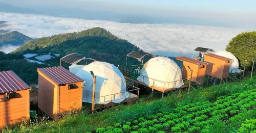 Himdoi Camping