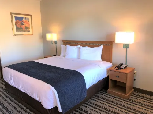 NavajoLand Inn - Pet friendly