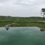 桐鄉百翠山居度假莊園 - 無邊際泳池