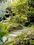 Wudang Mountain Wuyunju Homestay