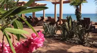Ogk Lazurnaya Hotel & Spa - Beach