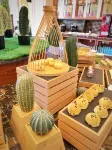 S&N Hotel Chaohu - Bữa sáng