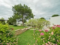The Olive Tree Hotel Hotels in Catalkoy