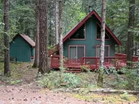 Charming Retreat w/ Woodstove & Old School Movies - Hoodsport / Lake Cushman
