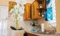 Tropical 1BR Villa | Private Yard, Gated Estate near Dunn’s River Falls - Homestays