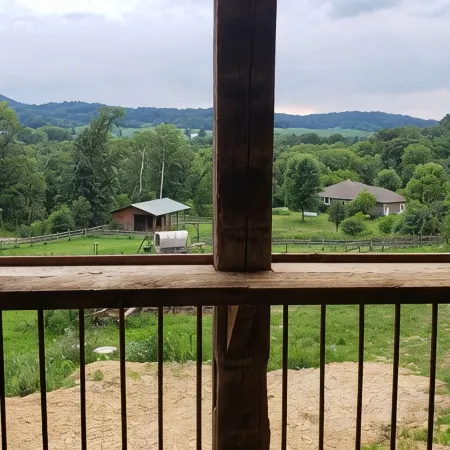 Rustic Cabin on 7 Acres
