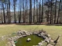 Pat's Place ~ Lovey’s at the Lake - Homestays