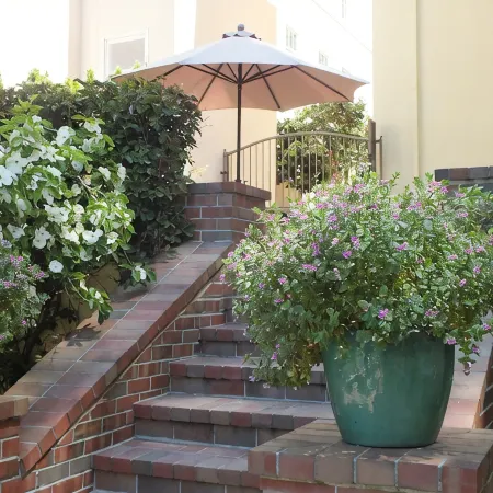 The Claremont District Luxury Residence