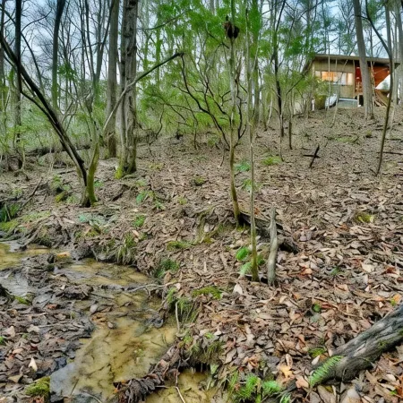 Keturah's Creek - Luxury Couples Tiny Cabin - 8 acres