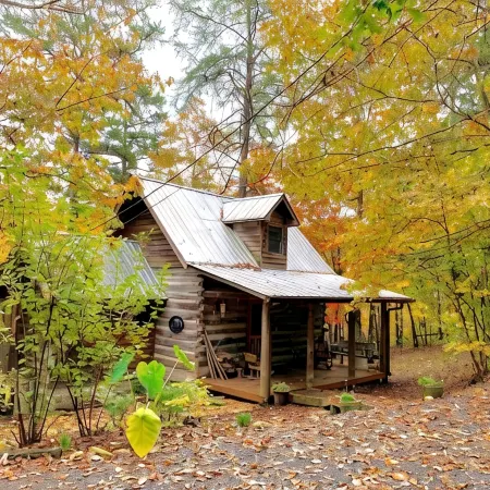 1800's Original Cozy Romantic Cabin For 2 Or The Family