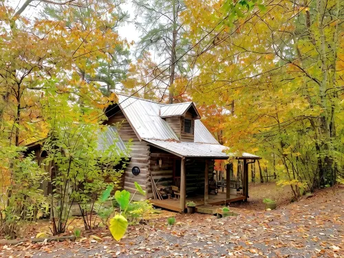 1800's Original Cozy Romantic Cabin For 2 Or The Family - Chalets
