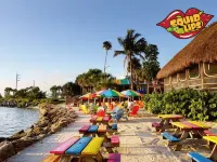 RV in Art District and Close to the Beach! Pool & Hot-Tub & Fenced/Pet-Friendly! - 2-Star