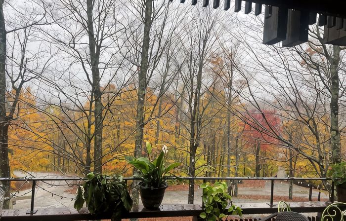 Cozy 3-bedroom condo located in Plymouth, VT .12 miles  to Okemo mountain-