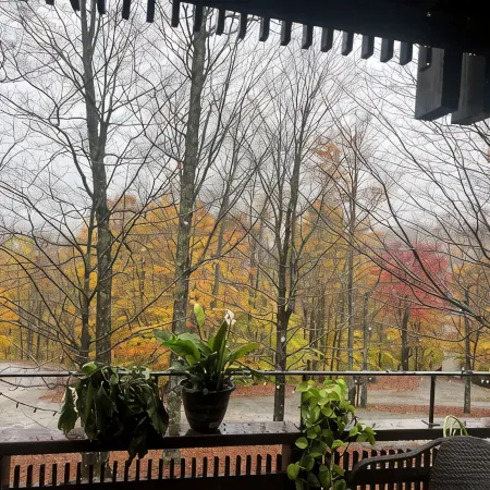 Cozy 3-bedroom condo located in Plymouth, VT .12 miles  to Okemo mountain-