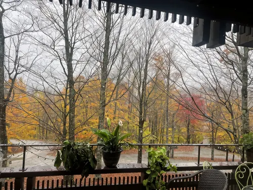 Cozy 3-bedroom condo located in Plymouth, VT .12 miles  to Okemo mountain- - Homestays