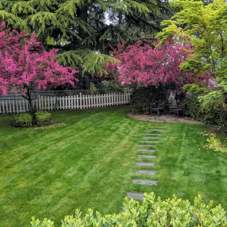 The Douglas-  Mid Century Charmer Near Seattle Airport