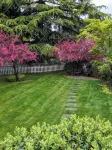 Quiet  Mid- Century Charmer Near Seattle Airport