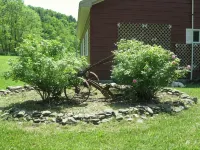 Perfect House for Dreams Park and All-Star Families / Sports Field Outdoor Fun! - Wifi