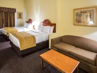 Comfort Inn & Suites Jupiter I-95 Hotels in Jupiter
