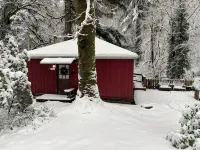 ‘Volcano Country’ Creek side Cottage in Doty - Hytter