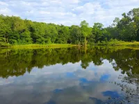 Tranquil retreat  on 16 acres sleeps 10 guests. Hotels in Izard County