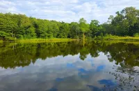 Tranquil retreat  on 16 acres sleeps 10 guests.
