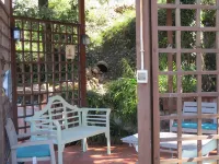 Luxury Villas in Sicily with pool - Villaer