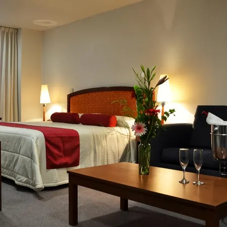 Hotel Mediterraneo Sa de CV Отели в г. Тулансинго