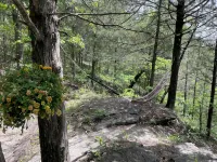 Fabulous Caboose Cabin in charming Eureka Springs - Chalets