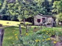 Zen Mountain Cabin: Forest-Bathing & Private Waterfall in Wine Country - 2-Star
