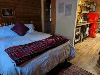 Studio Cabin, minutes from lake and trails - บ้านพักหลังเล็ก