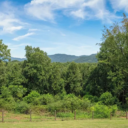 Luxury Cabin on 6 Acres w/ Mountain Views Near Nelson 151 & Wintergreen