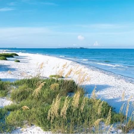 Fairfield Inn & Suites Clearwater