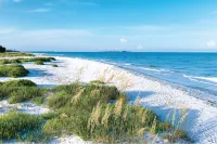 Fairfield Inn & Suites Clearwater - que admiten mascotas