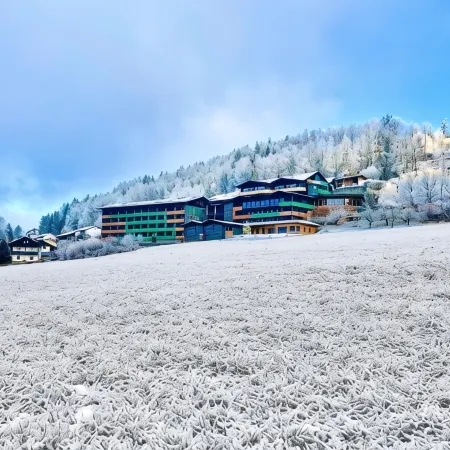 Natura Hotel Bodenmais - Inkl Soft- Und Heißgetränkeflat
