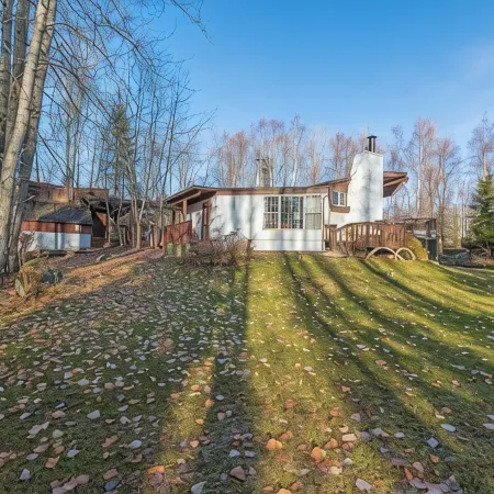 Anchorage Studio Bordering an Active Salmon Stream
