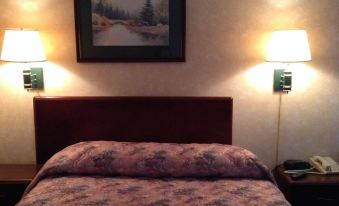 Quality Inn & Suites - Housity