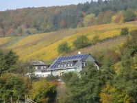 Pension Kühns Mühle Hotels in Oestrich-Winkel