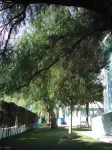 Del Mar Hotel & Spa Hotels near Basilica of Our Lady of the Miracles
