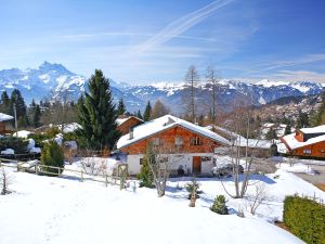 Chalet Petit Pont