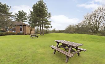 a large , grassy field with a picnic table and benches , surrounded by trees and a house at Days Inn by Wyndham Sedgemoor M5