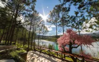 Cereja Hotel & Resort Da Lat - Romantic