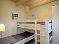 Lachmöwe