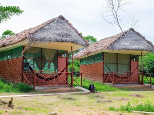 Canopy Tours Iquitos