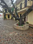 Hotel Villa Aurora - Parkplatz