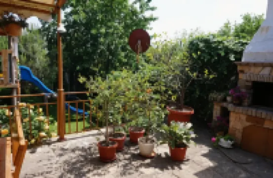 Margarita Hotel Hotels in 